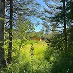 Marika Puhkekuela - Metsanurga Puhkemaja 