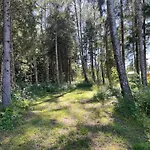 Marika Puhkekuela - Metsanurga Puhkemaja 