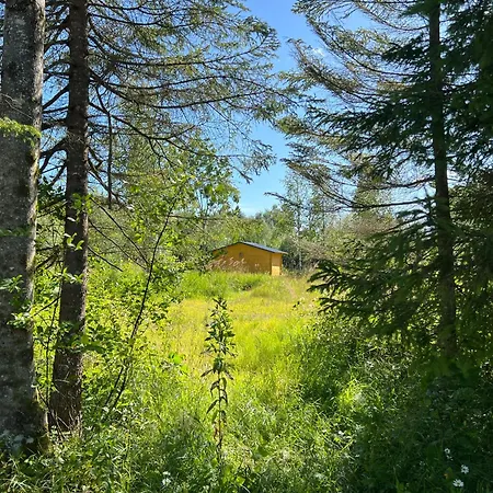 Marika Puhkekuela - Metsanurga Puhkemaja 