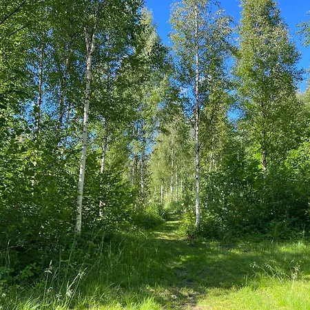 Appartement Marika Puhkekuela - Metsanurga Puhkemaja 