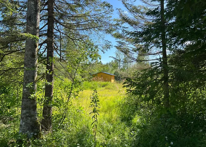 Marika Puhkekuela - Metsanurga Puhkemaja 