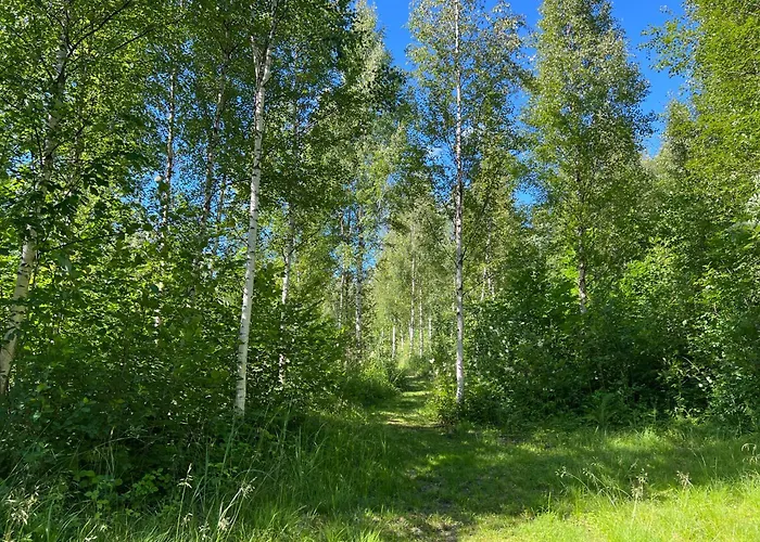 Korter Marika Puhkekuela - Metsanurga Puhkemaja 