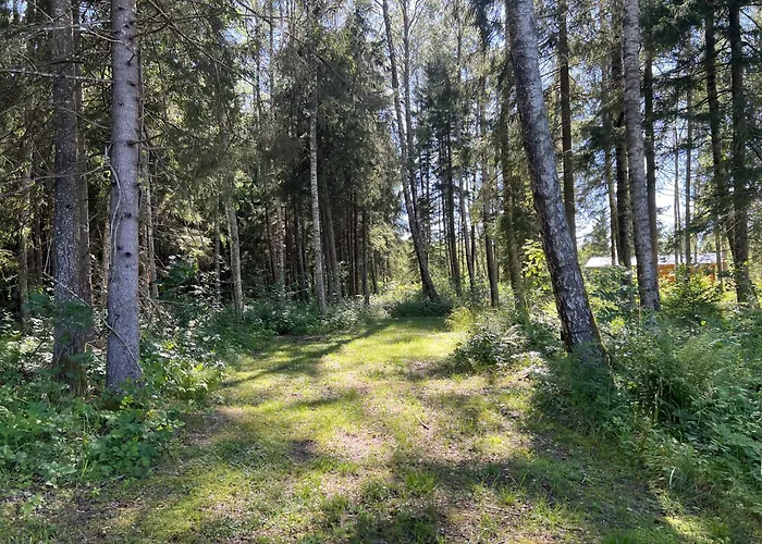 Marika Puhkekuela - Metsanurga Puhkemaja 